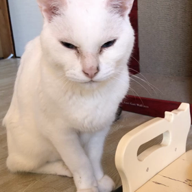 お腹が空いてたまらないの画像