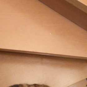 甘えたイクラちゃんの画像