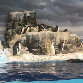 姪とその子どもがやってきた⑤   0116☆2019の画像