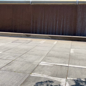 柚ちゃん初水族館の画像