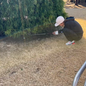 やらかしたゴルフ！の画像