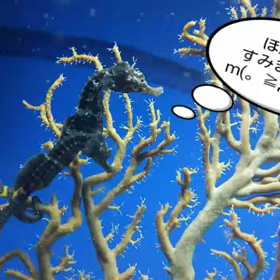 emico的、タイプ分け講座ヽ(￣▽￣)ノの画像