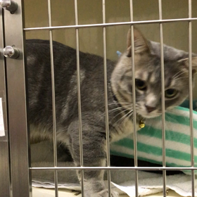 お泊り♡レオくんの画像