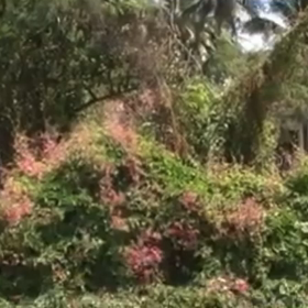 はあ、また行きたいなあ。時間が止まってるフィリピンの画像