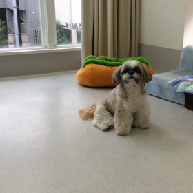 ♪プレイルーム動画♪②の画像