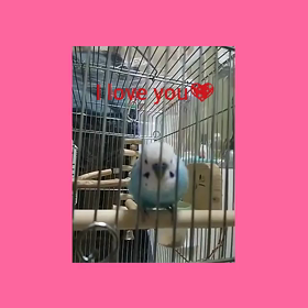 おりこぅさん！の画像