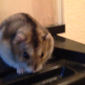 高所恐怖症。の画像