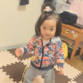 動画集⑤の画像