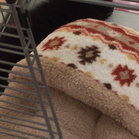 寝る子は育つの画像