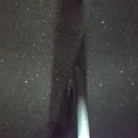 ツイッターの動画を保存して貼り付けるで悪戦苦闘の画像