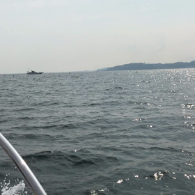 鳥山、発見！！の画像