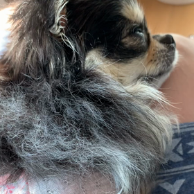 べるの二度寝の画像