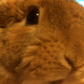 もぐもぐ〜♪の画像