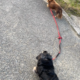 草刈機と私の画像