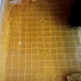 ＊松かさ病治療【８】その後の画像