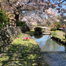 将まさ散歩の画像