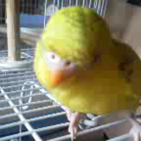 おはようございますの画像