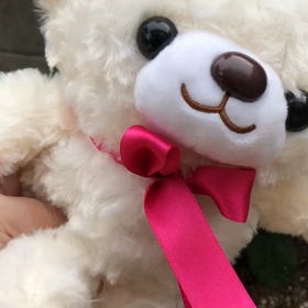 6月15日の気になる、きになるぅ〜の画像