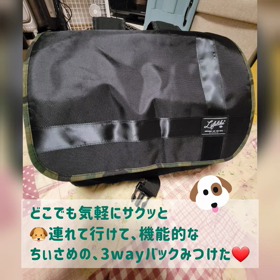 犬のキャリーカバンをの画像