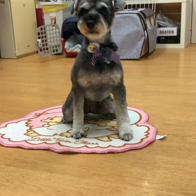 ビビ編。の画像