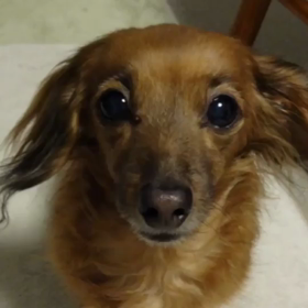 ネイリスト技能検定合否発表の画像