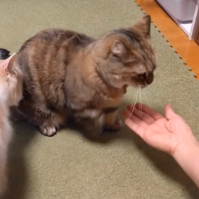 血液内科定期受診 寛解5年1ヶ月目の画像