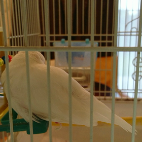 起こす( ^-^)ノ∠※。の画像