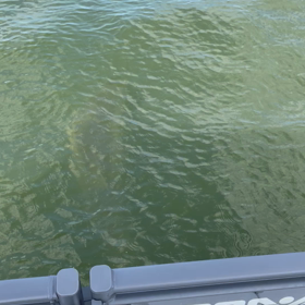 この時もの画像