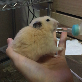 何故止まる？の画像