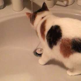 びしょぬれの画像