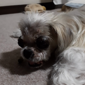 手術後、初の病院への画像