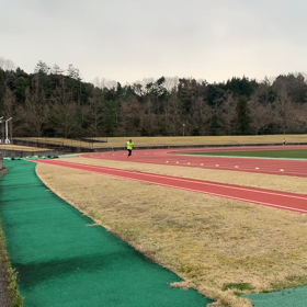 踵が痛いの画像