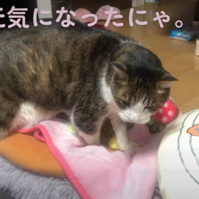 久しぶりに怪しい話し。の画像