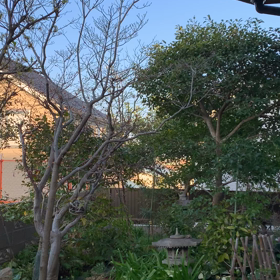 母　頑張ってるけどしんどいよねの画像