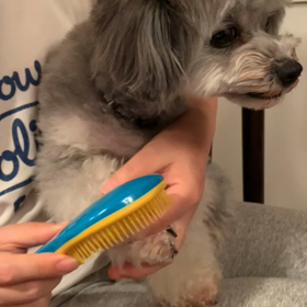 キライなものの画像