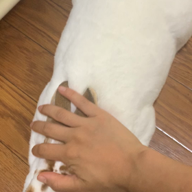 ⭐︎質問コーナー⭐︎の画像