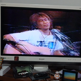 何之木？の画像