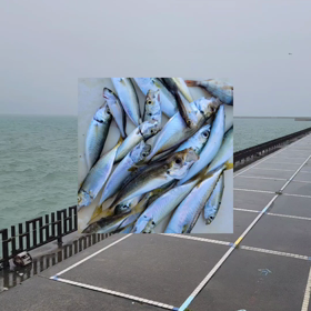 台風7号大丈夫でした❗の画像