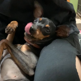 はみがき。の画像