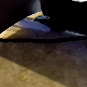 おもちゃだと思っていますの画像