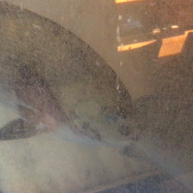 本日のオススメ！の画像