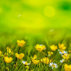 3月お誕生日の方の画像