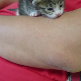 ミルボラ日記3の画像