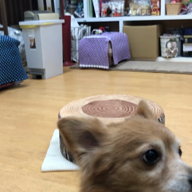 マロン編。の画像