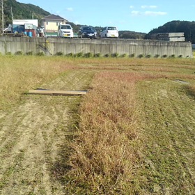 芋けんぴの画像