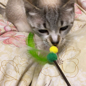 簡単投稿の画像