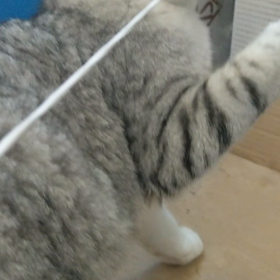 俺のもの～の画像