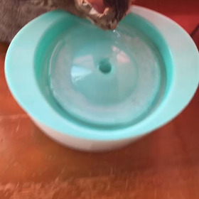 パワー全開！の画像