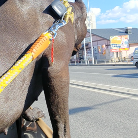 海だよ～ ♥️ その 5の画像