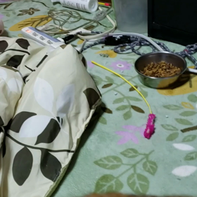 日常ではない行動をとるとの画像